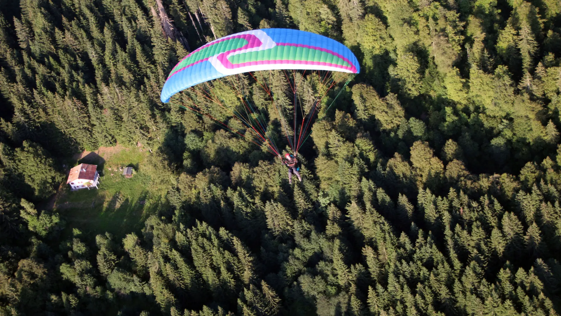 Fred tijdens de vlucht