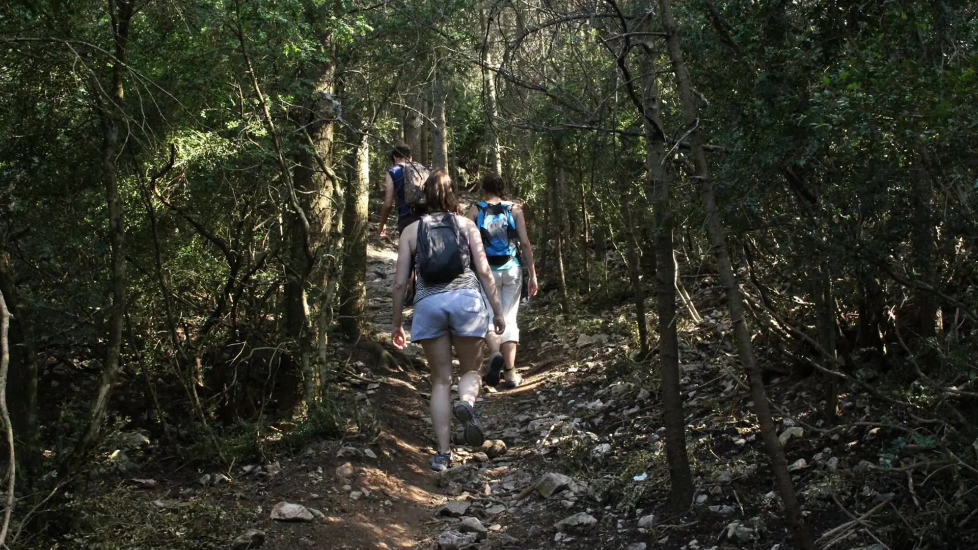 A l'attaque de la montée vers les crêtes