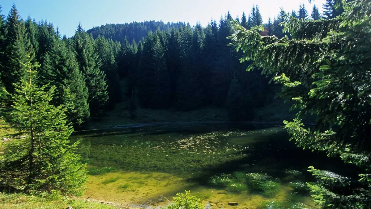 Le lac du Fouyet dans son écrin de verdure