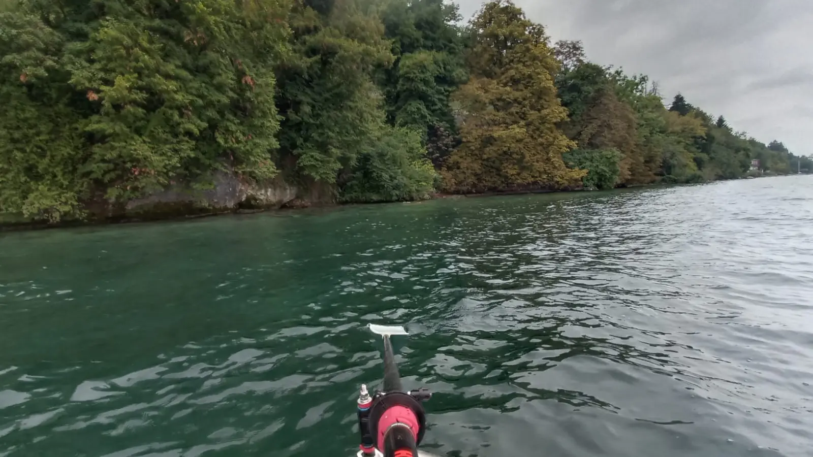 Activité encadrée par Alp'Evianature