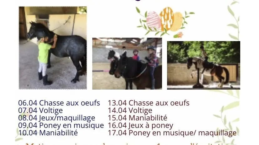 Stages vacances de Pâques - centre équestre Terre et Ciel_Contrevoz
