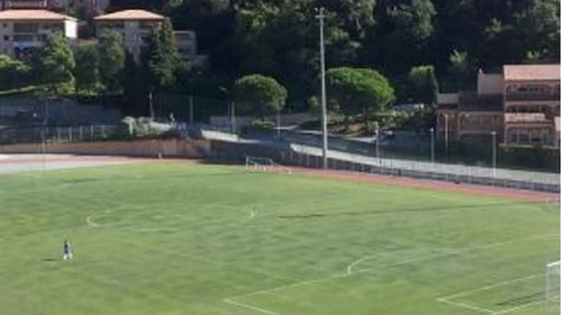 Pelouse du stade