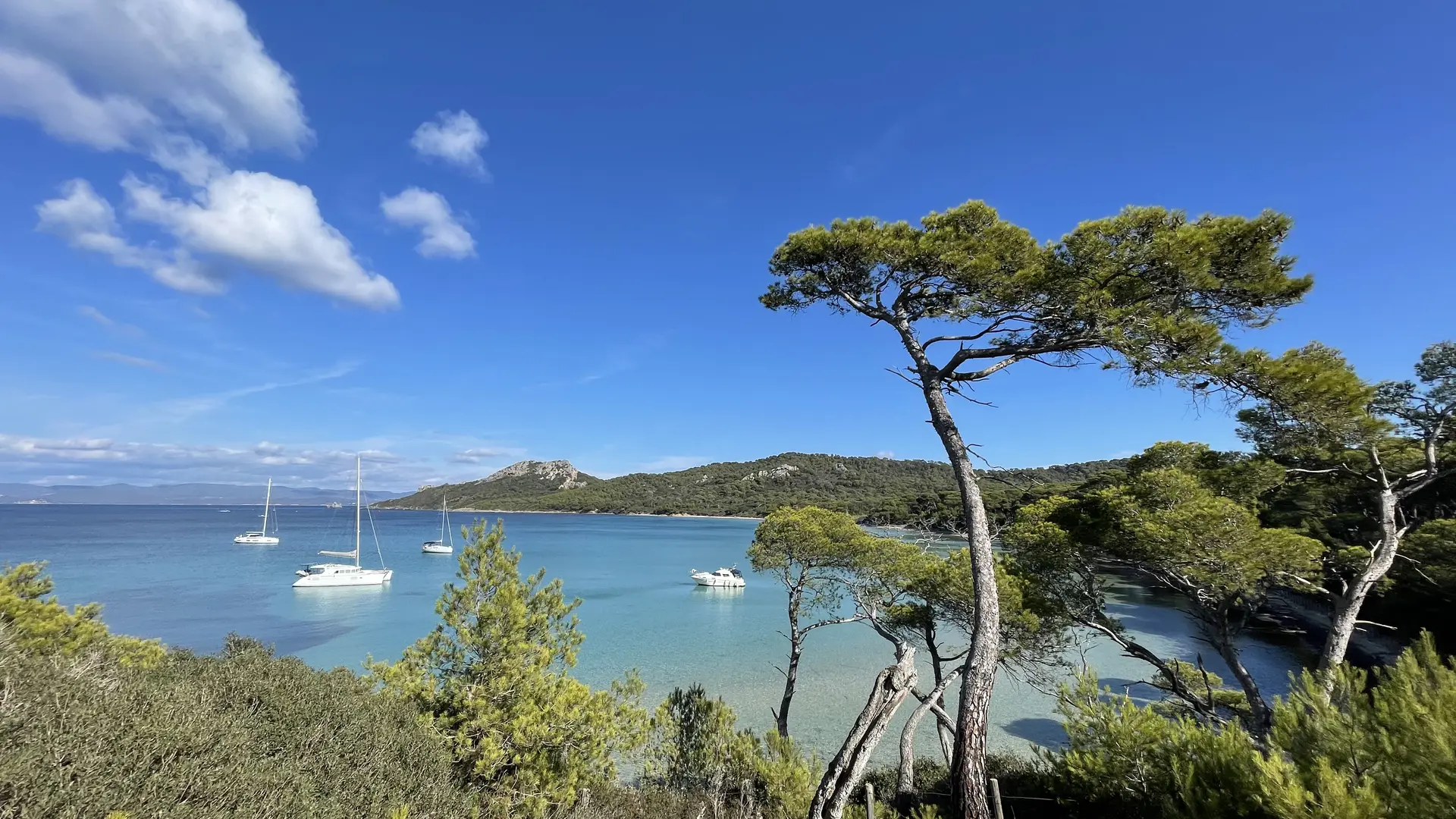 Ile de Porquerolles