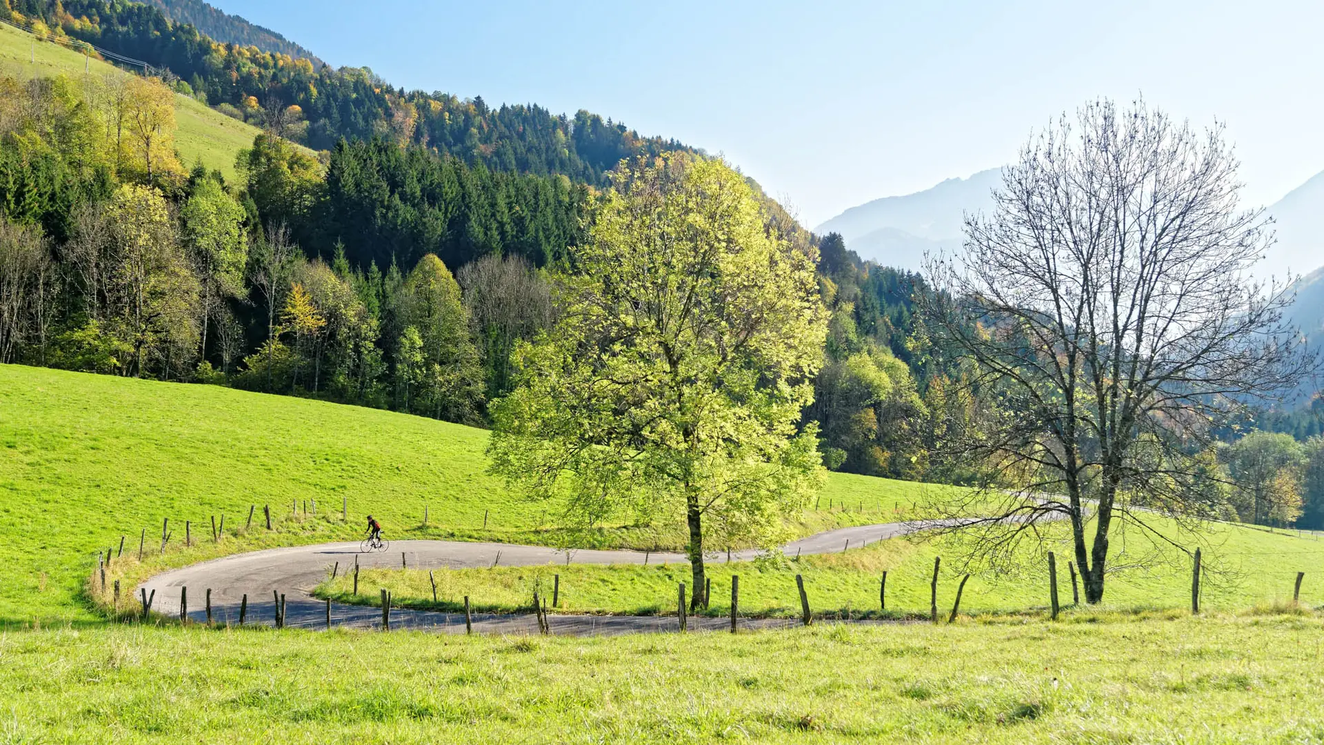 Col de la Forclaz