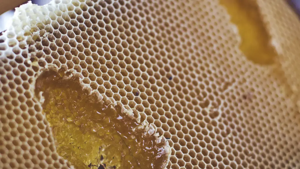 Miellerie Monsoise Barbaroux_Mons