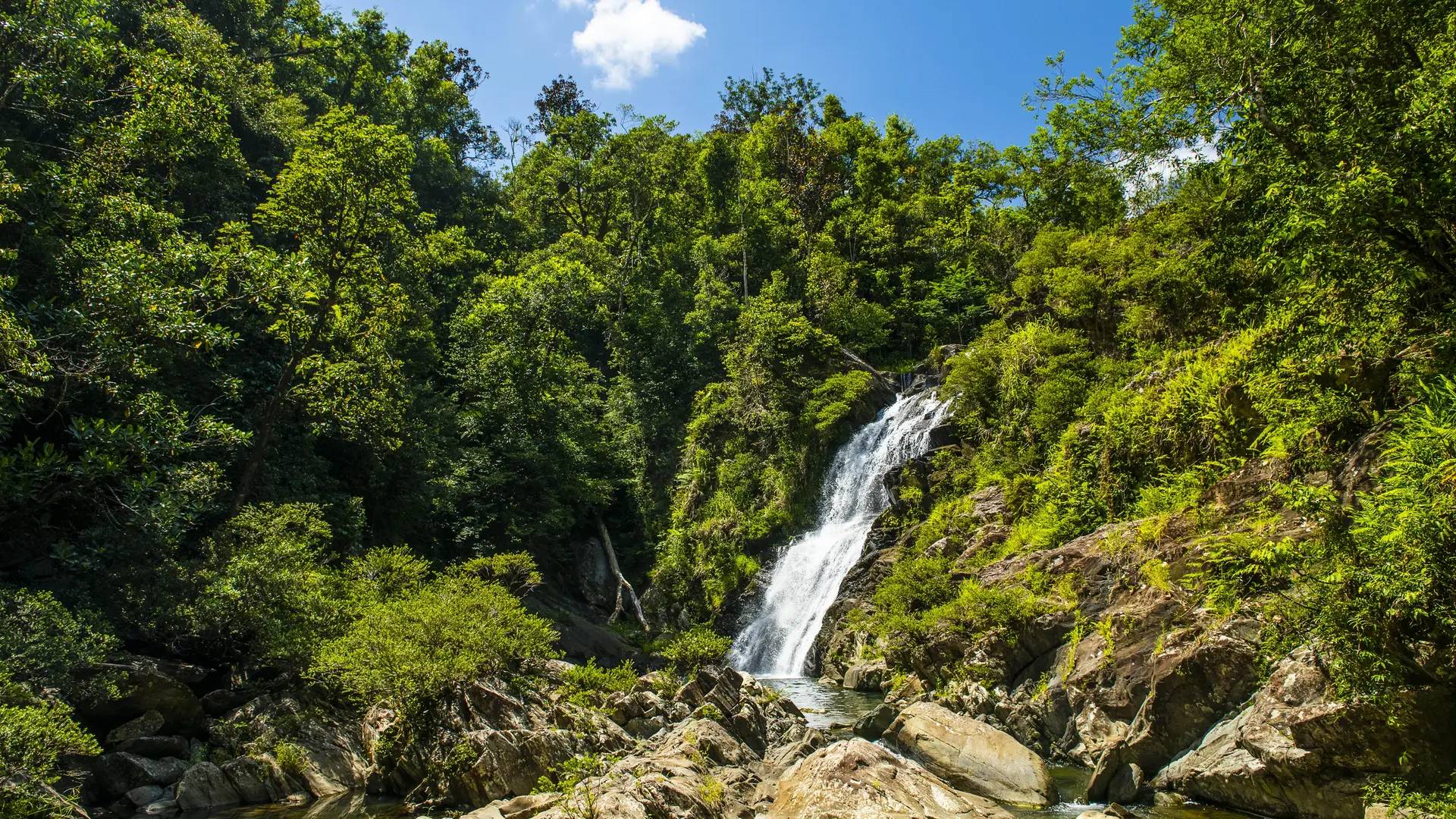 cascade, Saint-Thomas, vert, paysage, nature, Poindimié