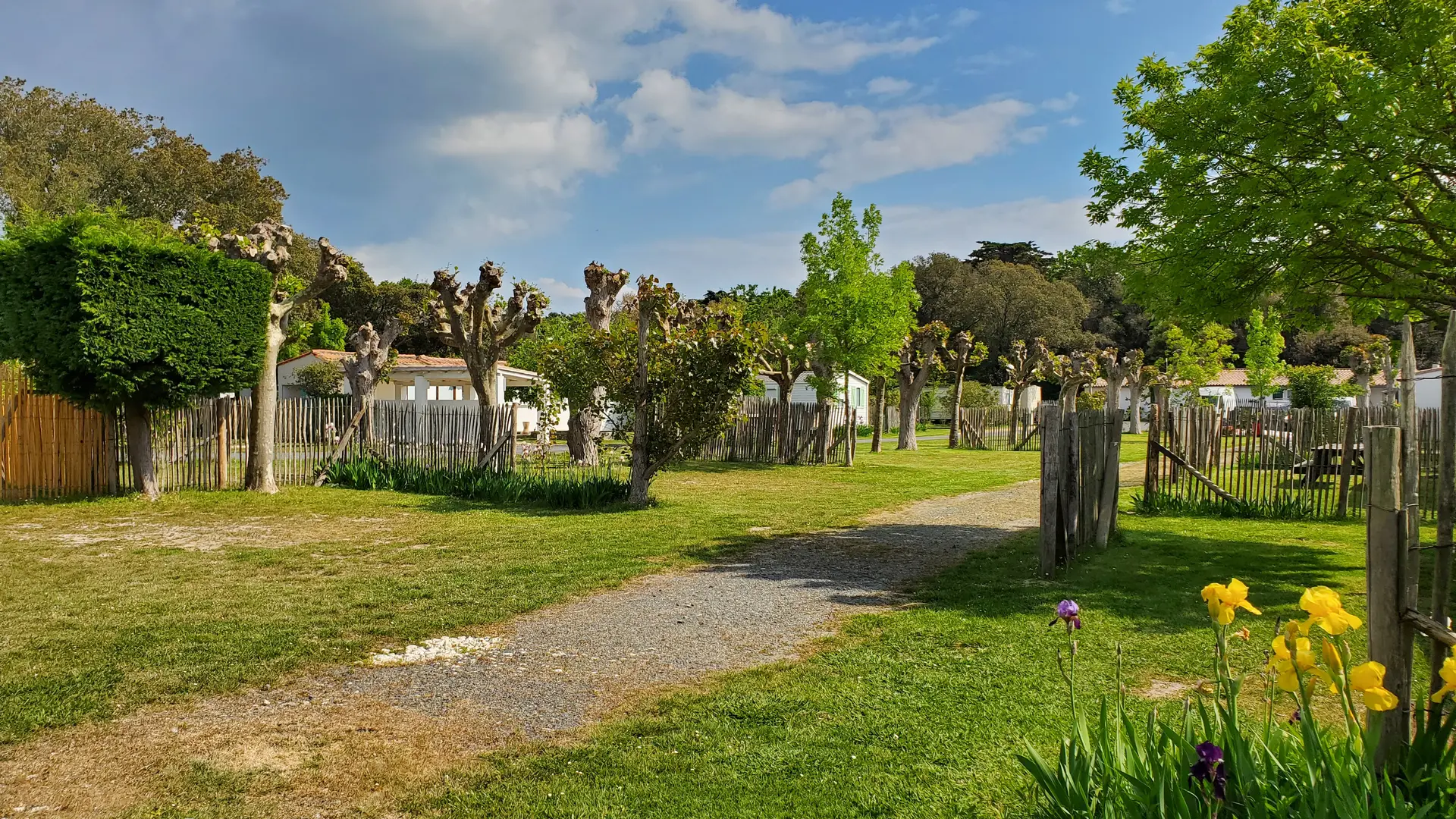 Emplacements tentes / camping cars