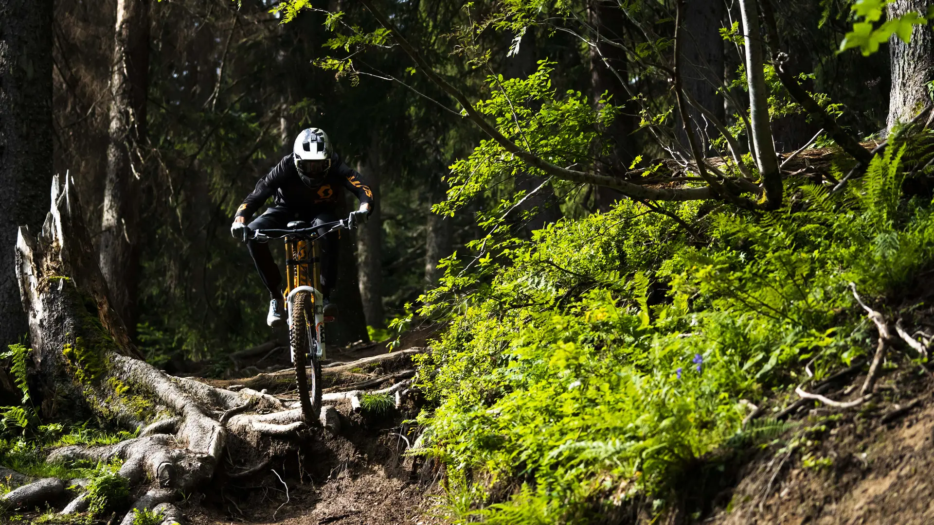 Piste VTT la Bike Patrol