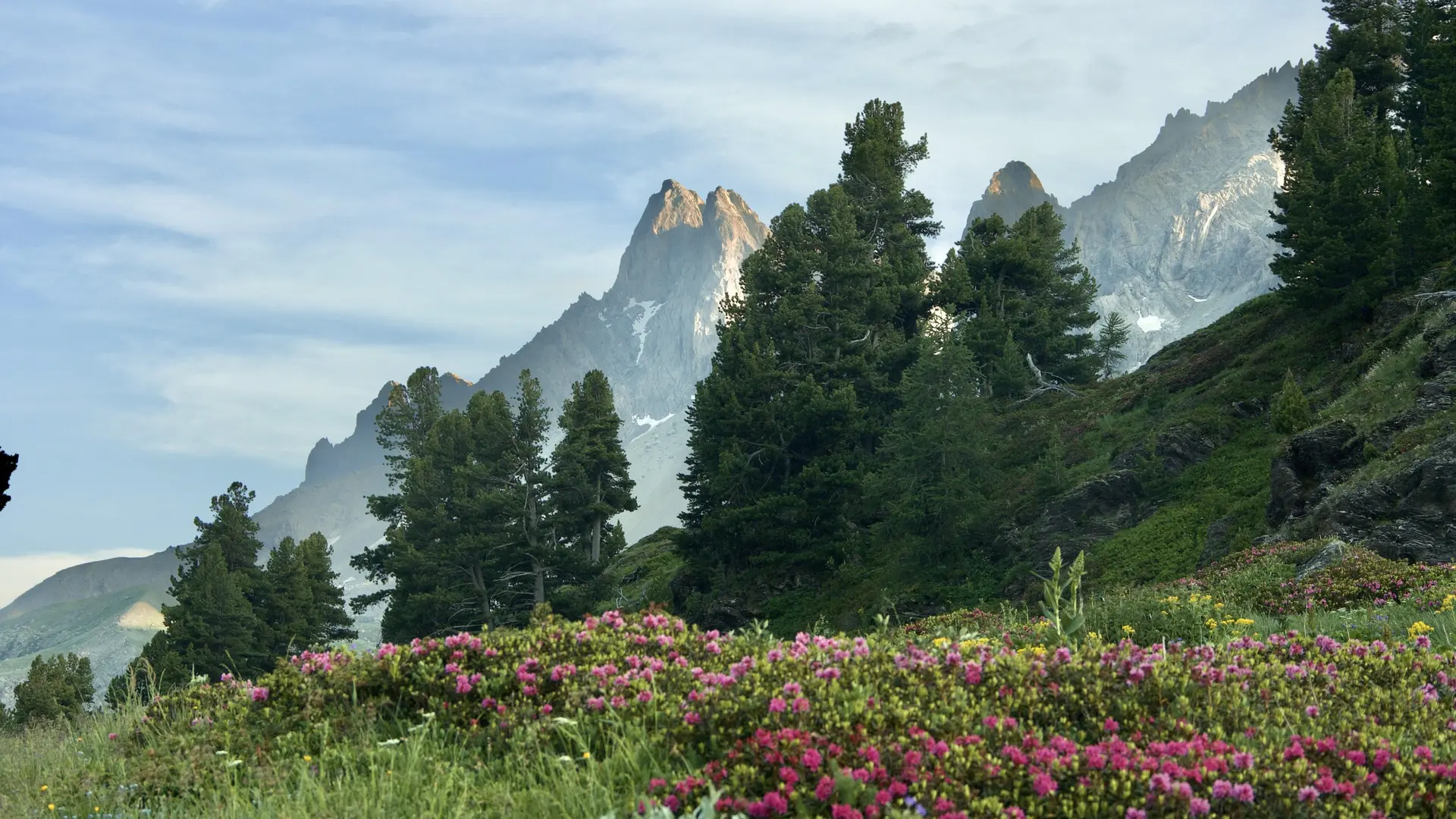 Petite boucle de Laval aux Drayères