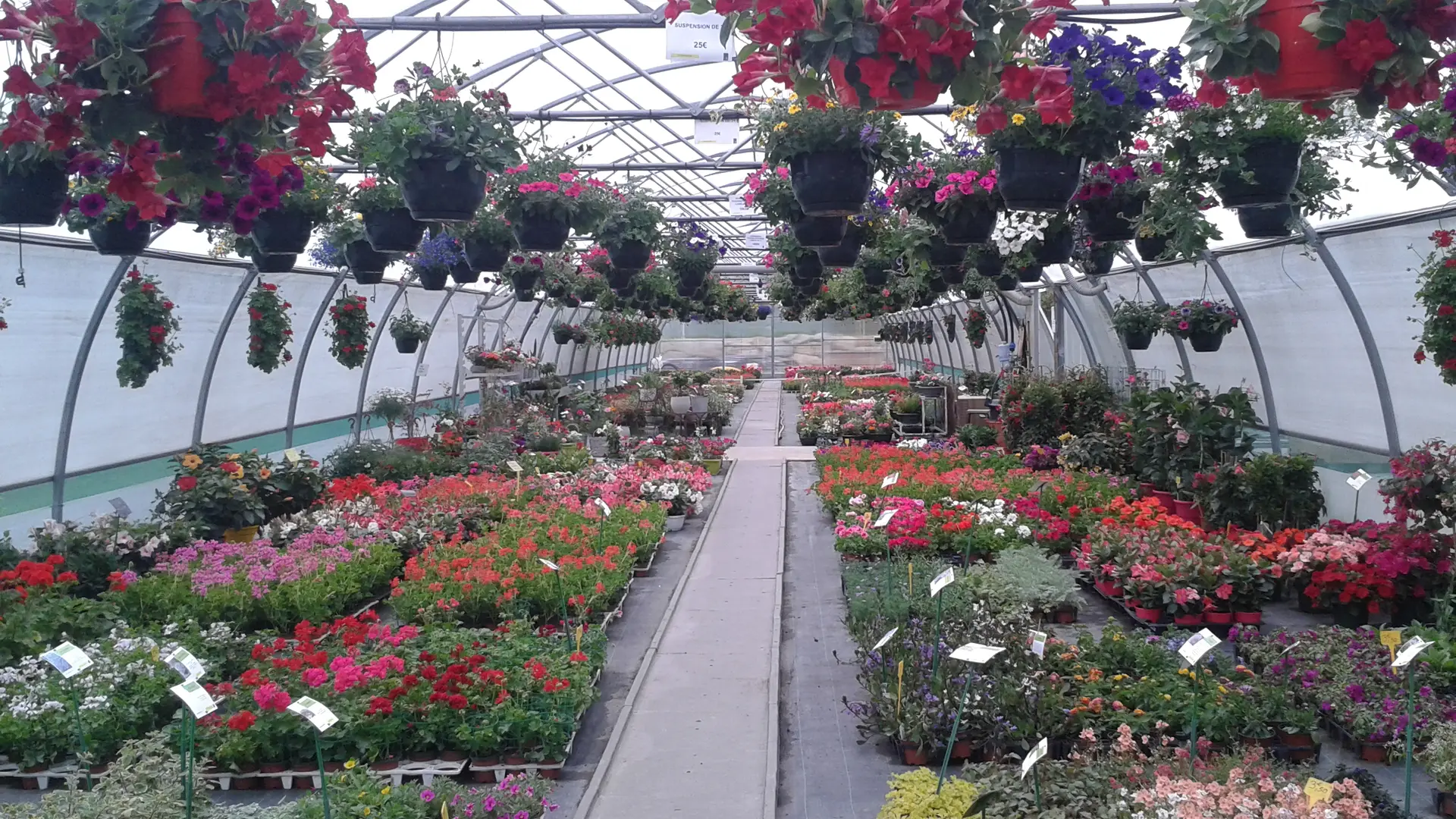Plantation