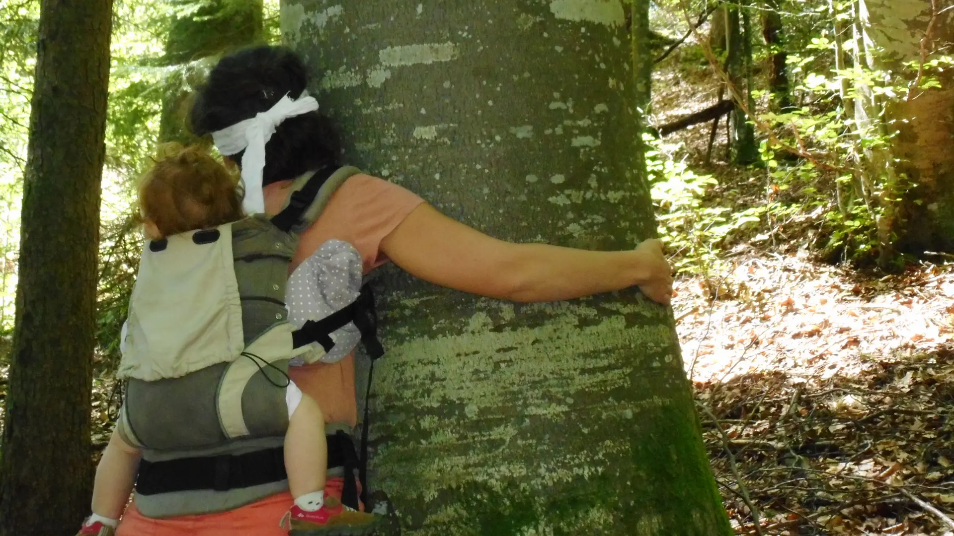 bain de forêt rencontre avec un arbre