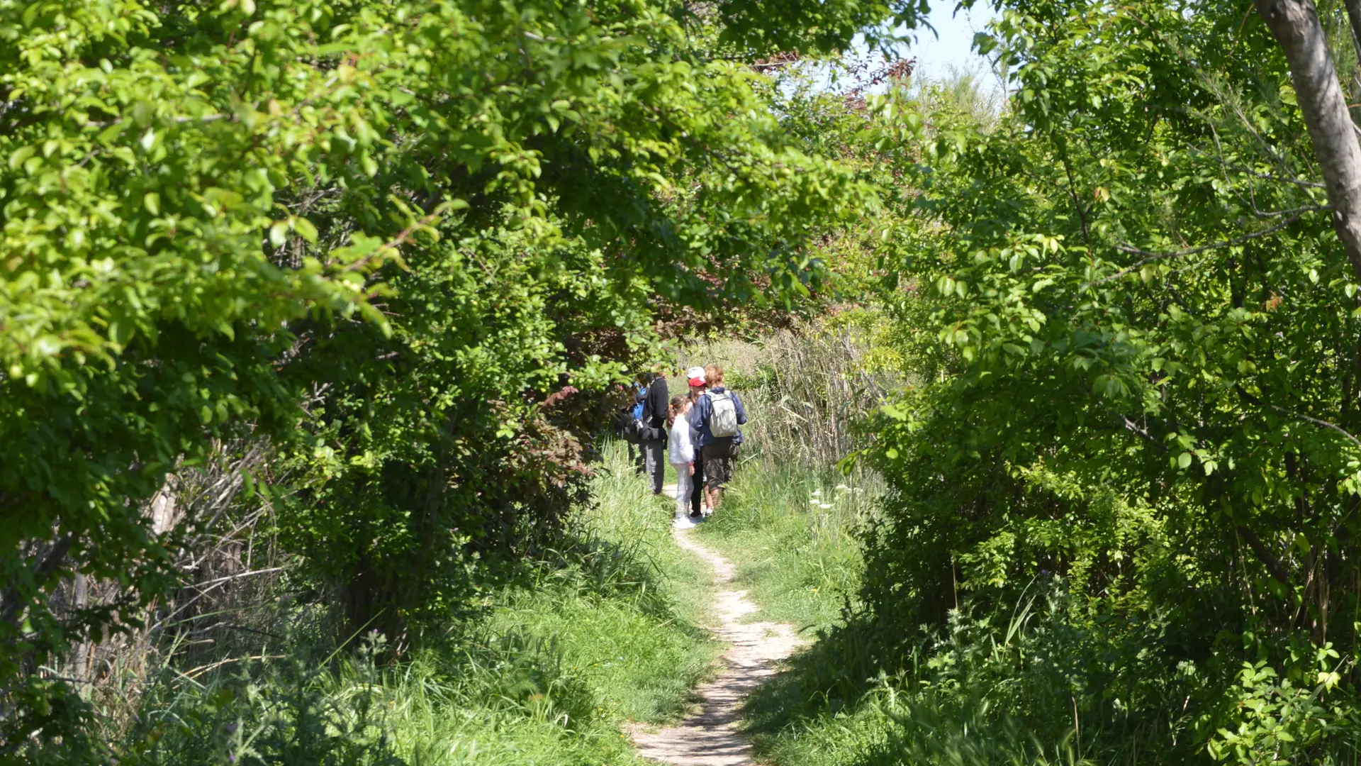 Sentier Patafloux-Barlatier
