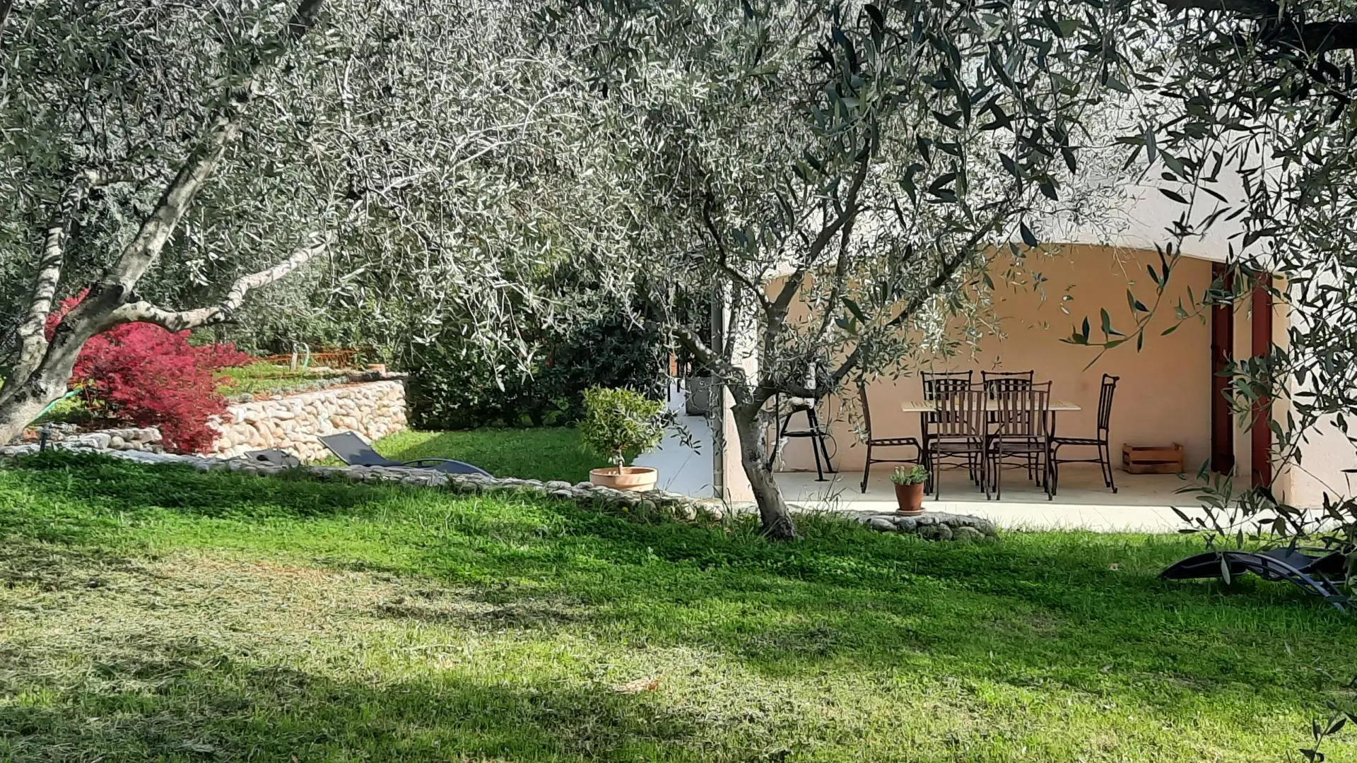 Extérieurs Gîte de la Colline - Olivier labellisé Gîtes de France Alpes-Maritimes à St Blaise
