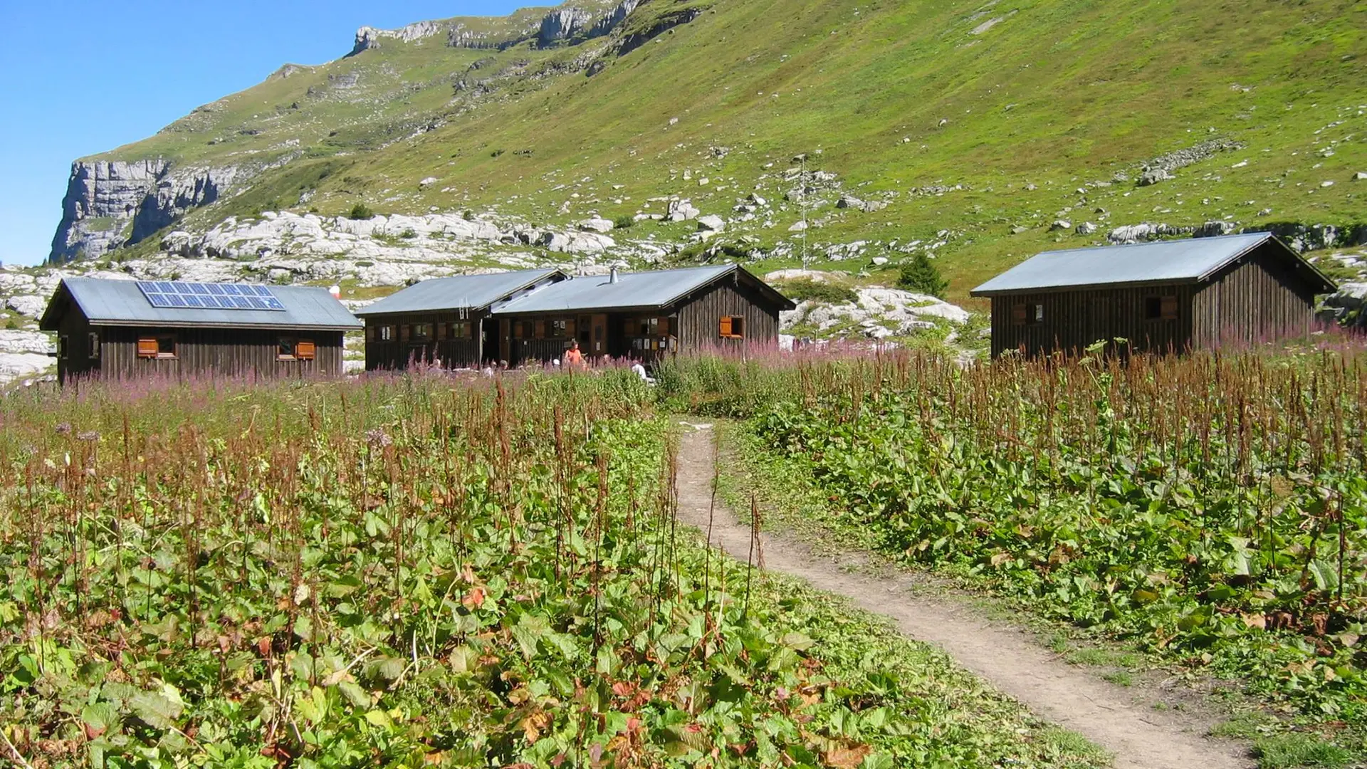 Refuge de sales