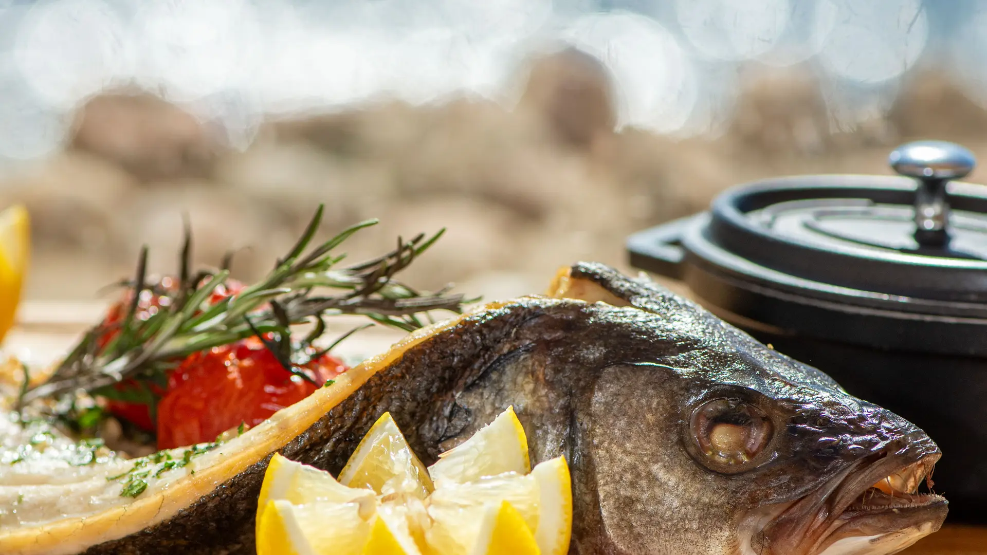 Le Méditerranée_Bandol