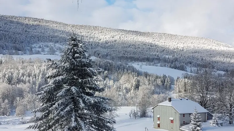 Crêt de la Neige - L'olivine - Vue panoramique depuis le balcon en hiver