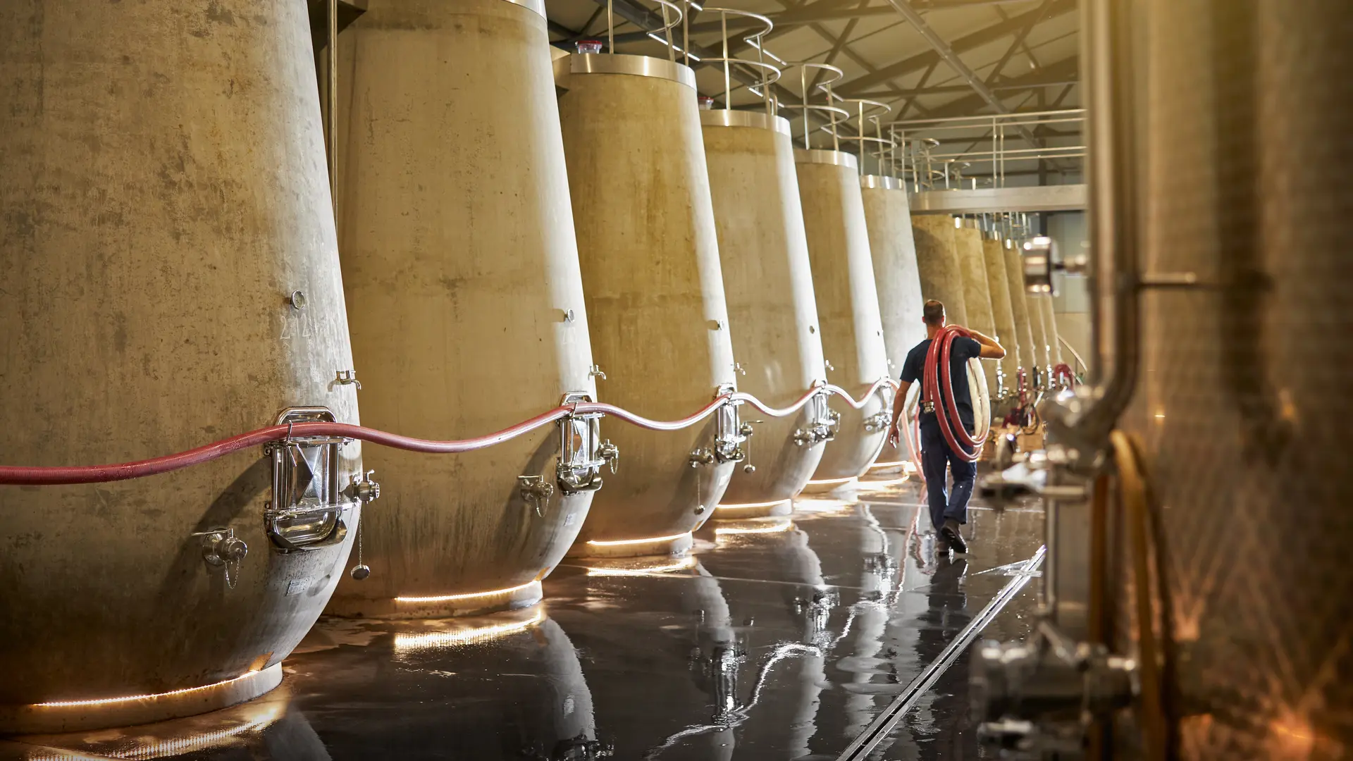 Château Gigognan - Chai à barriques