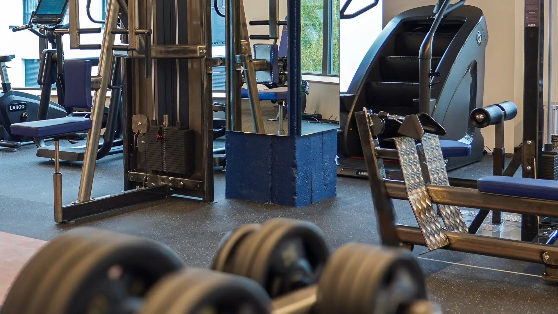 salle de musculation