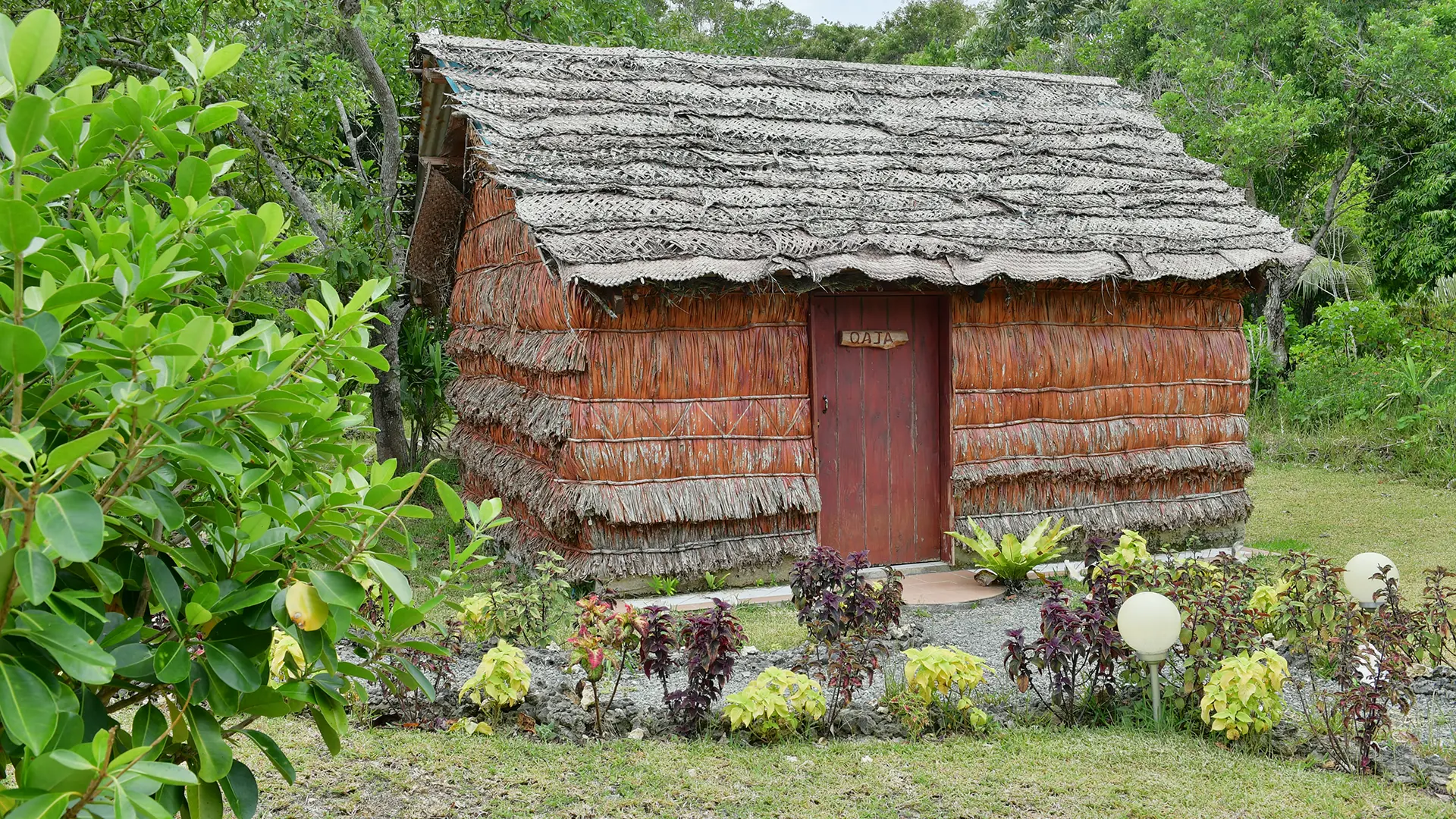 Thatched hut