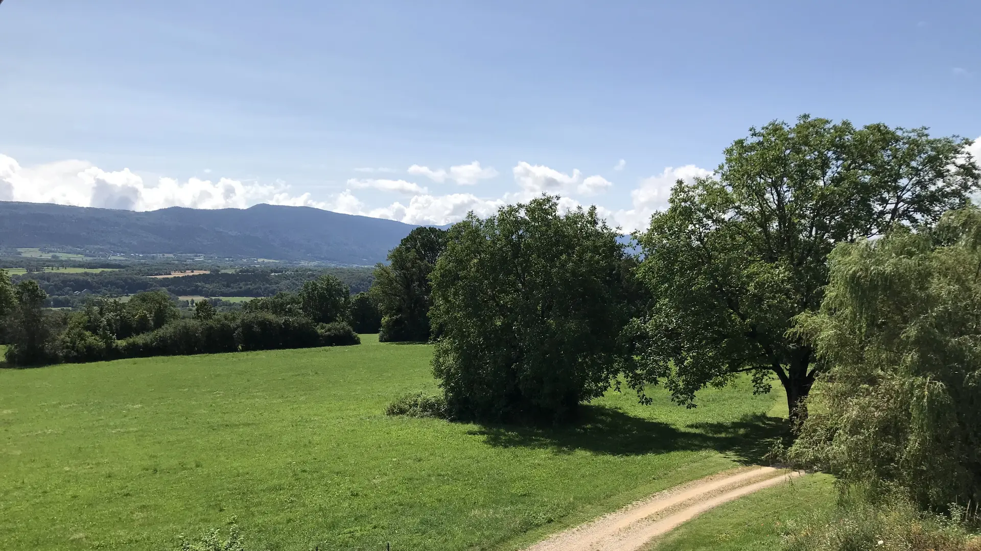 Gîte L'Ain t'y piques