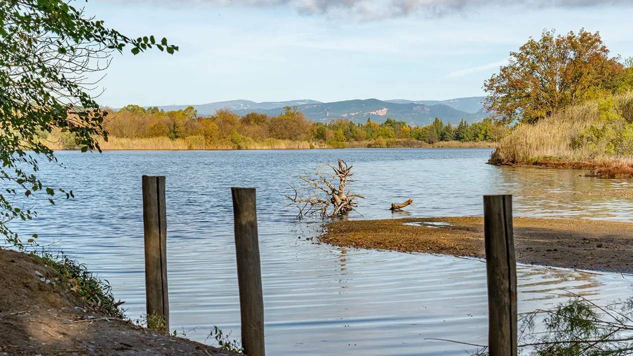 Etangs de Villepey - Fréjus - St Aygulf