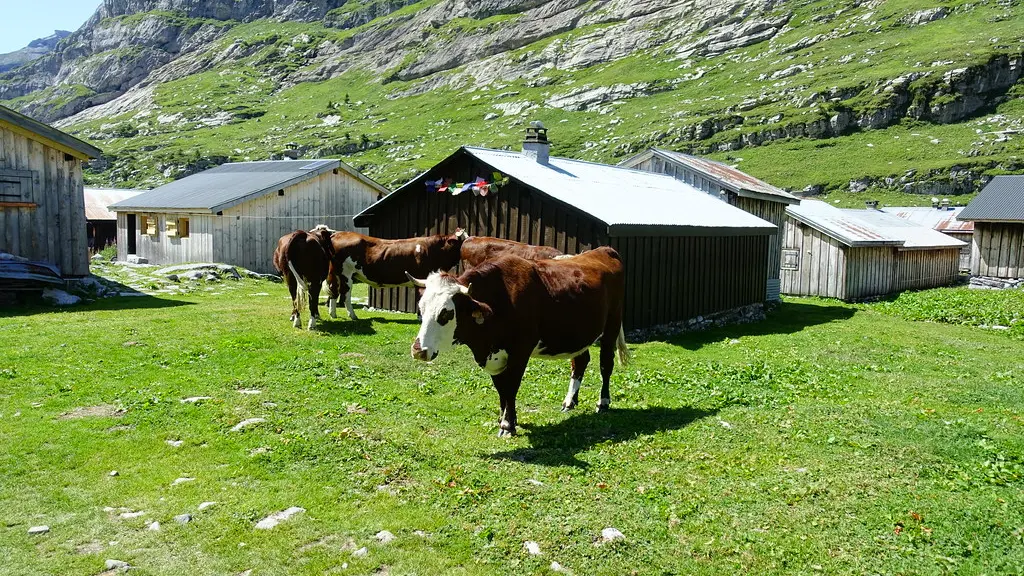 Photo Alpage Refuge de Sales sous licence Creative Commons https://creativecommons.org/licenses/by-sa/2.0/