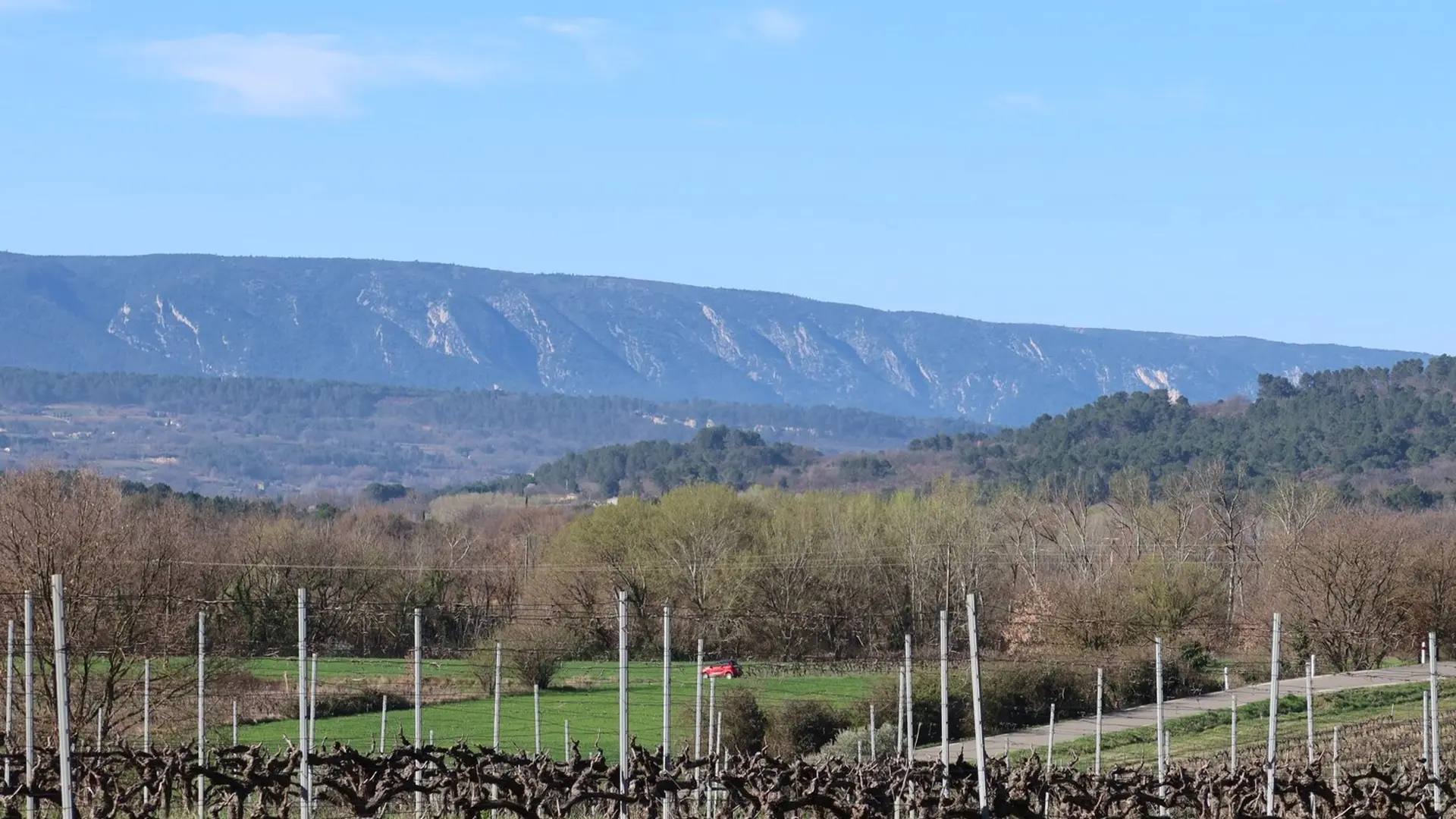 Vignes des Blancs et Petit Luberon