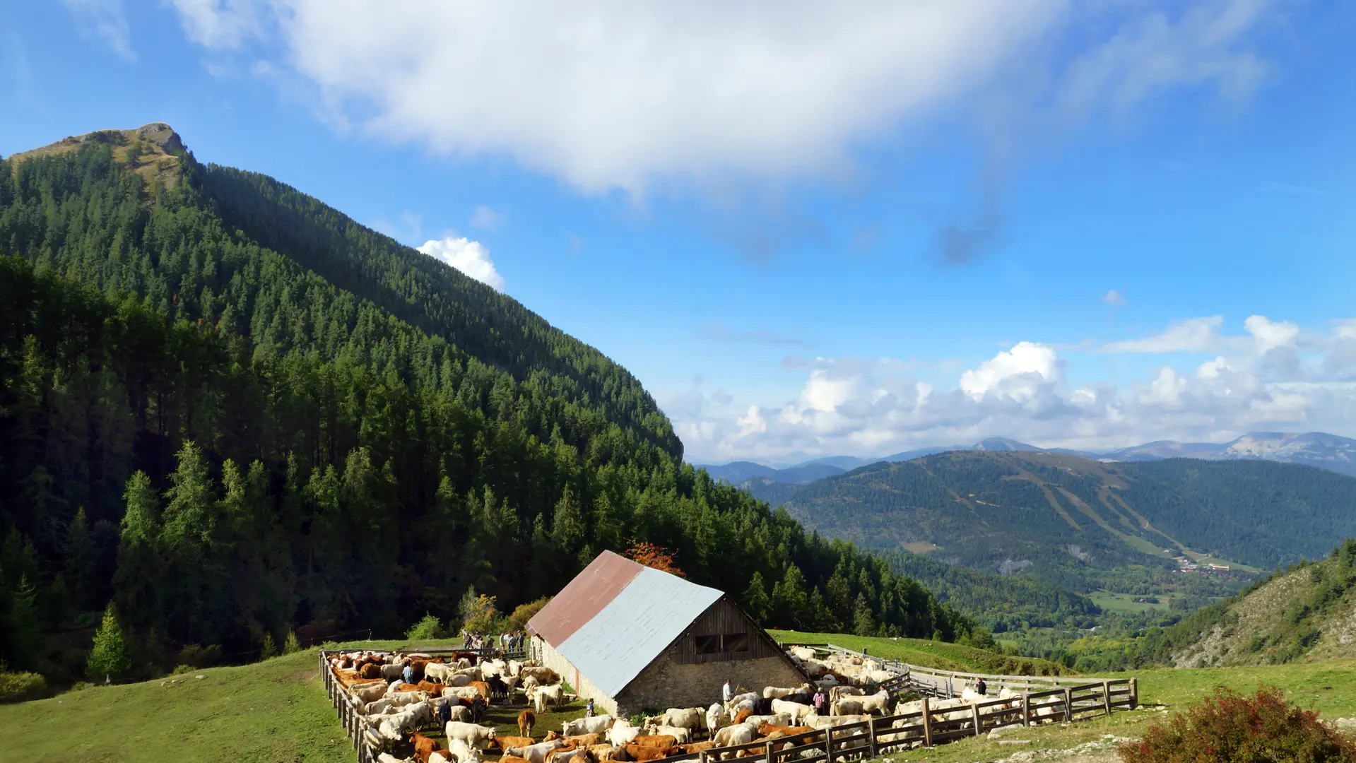 La Cabane des Mulets