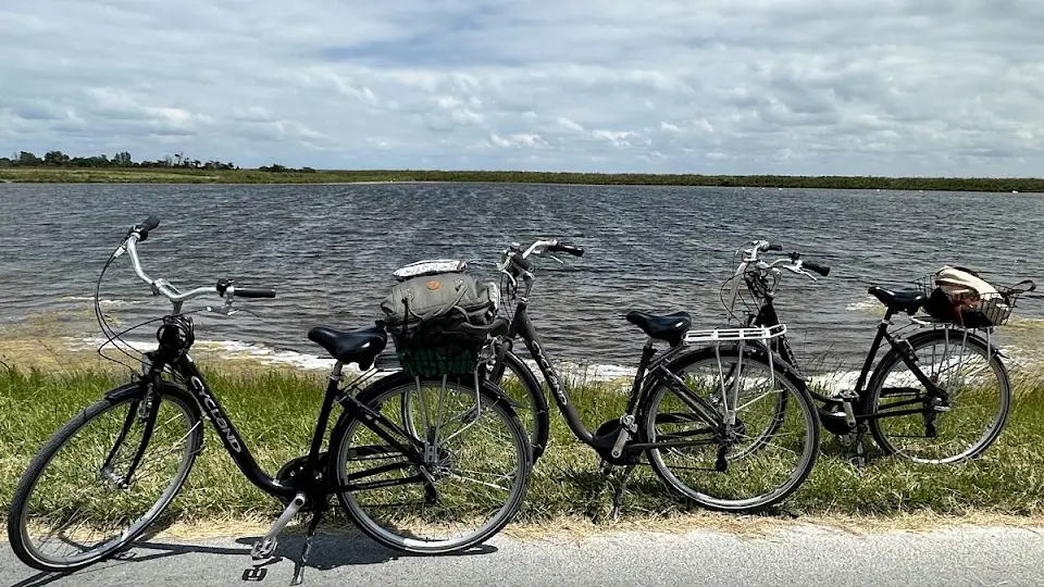 Vélo adulte confort