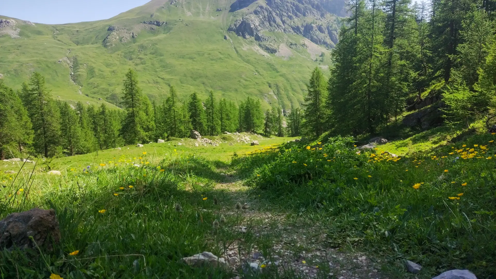 Vue depuis l'ascension du col