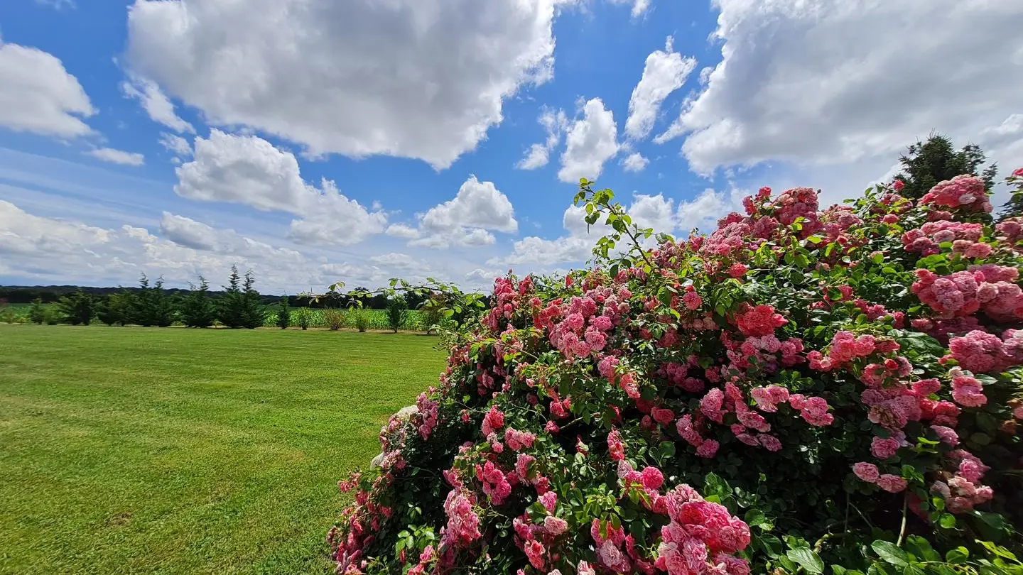 Le parc
