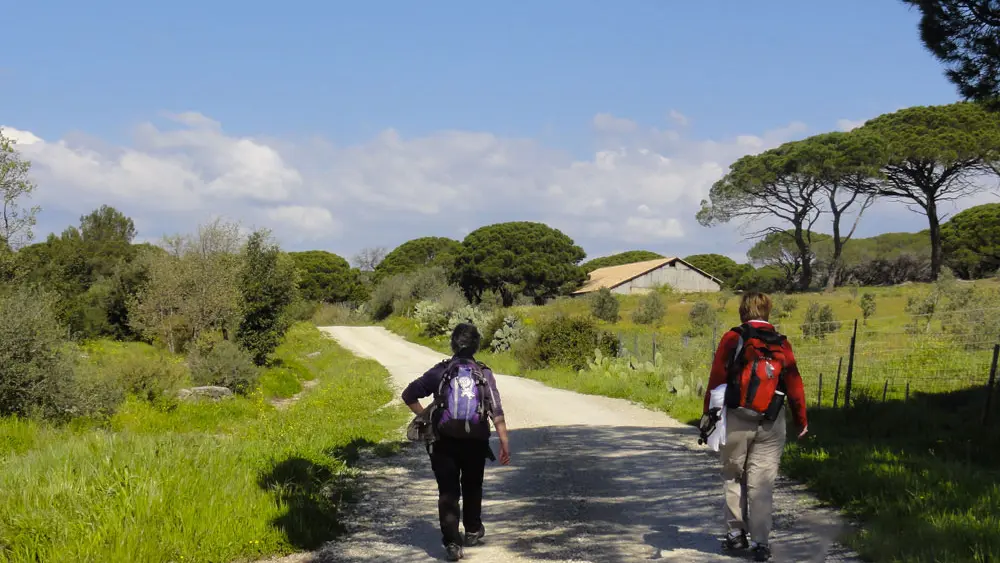 Chemin de Compostelle