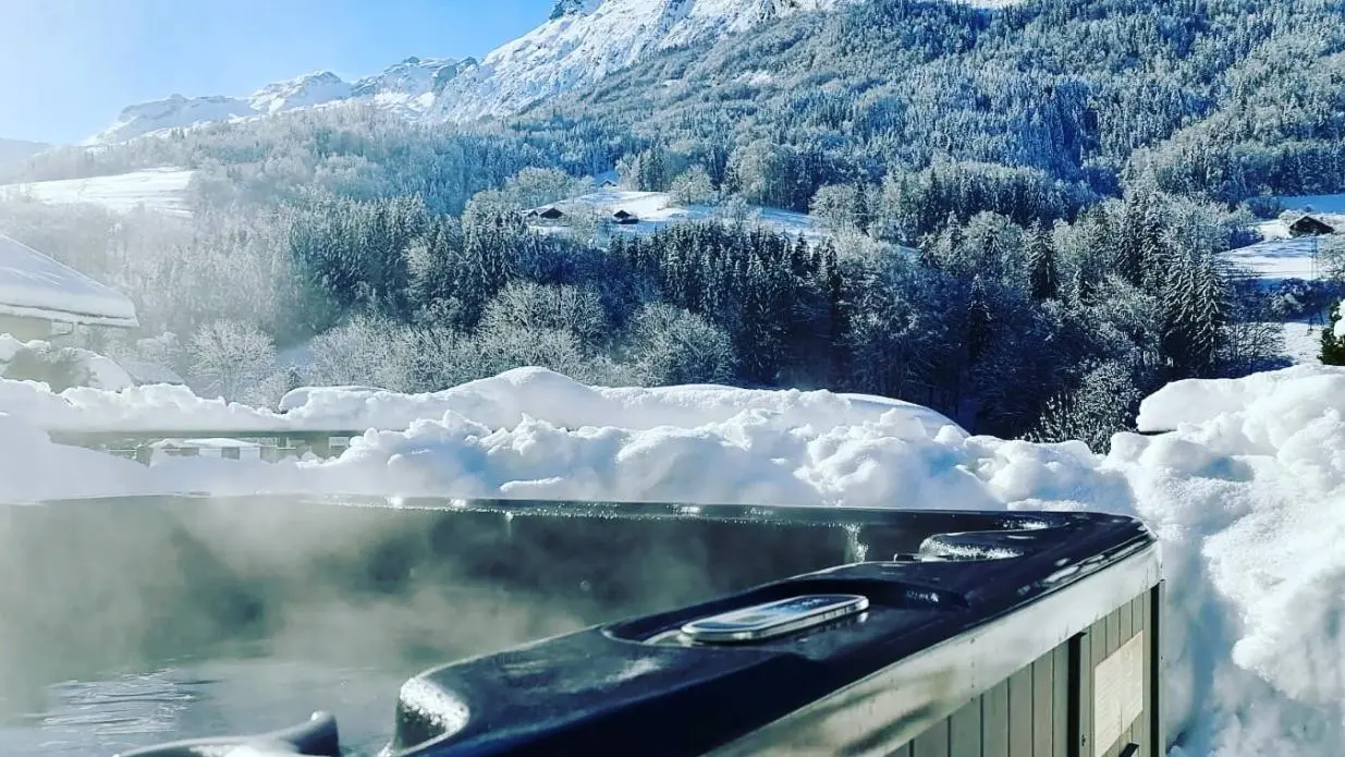 Jacuzzi hiver ... un pur bonheur!