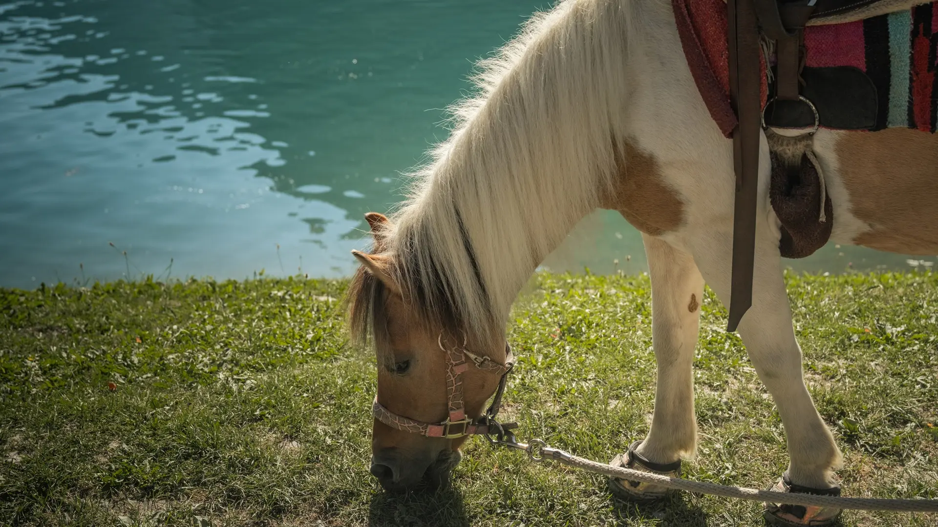 Balade à poney au Lac de Montriond