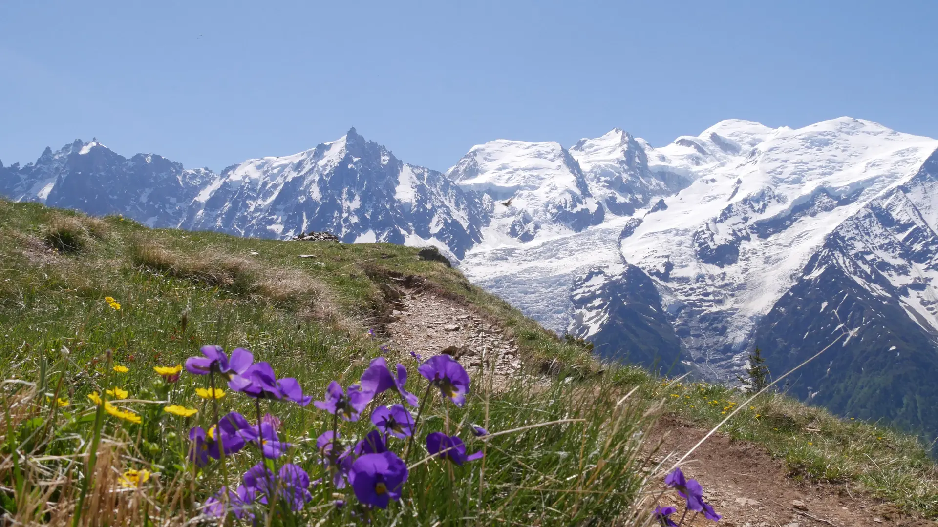 Evolution2-Chamonix-Randonée pédestre