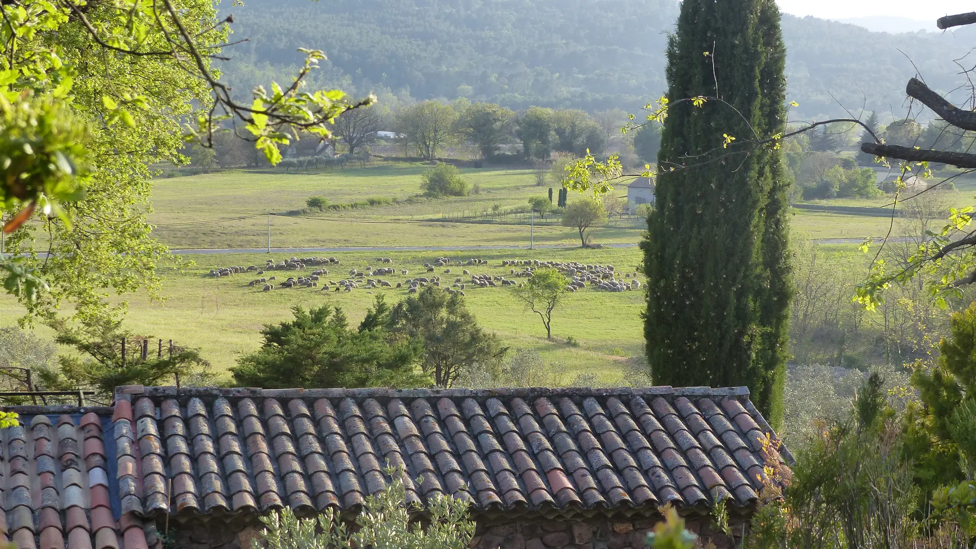 Maison du Patrimoine Callassien