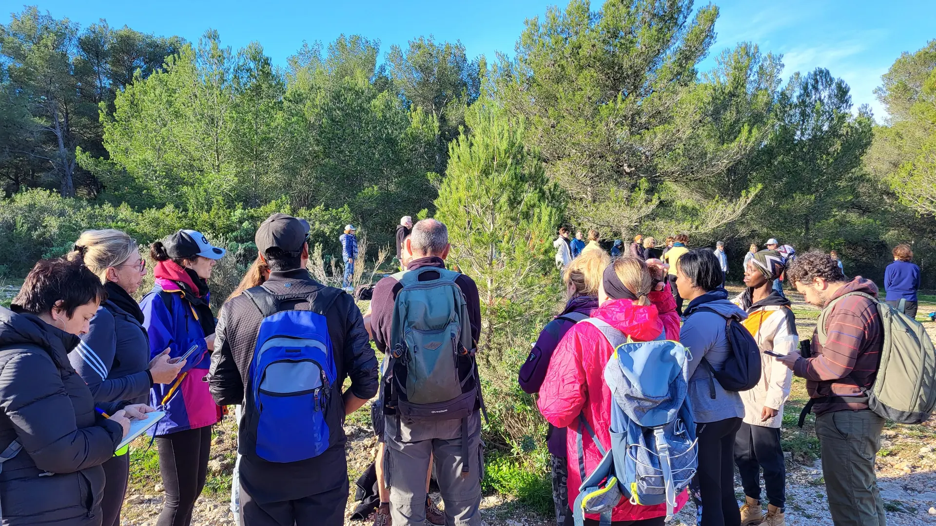 Rando Phyto Naturo poétique