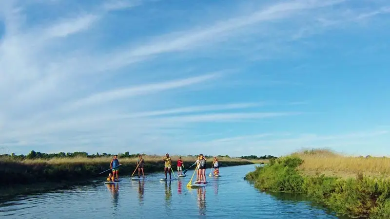 Randonnée en stand-up paddle dans les espaces naturels