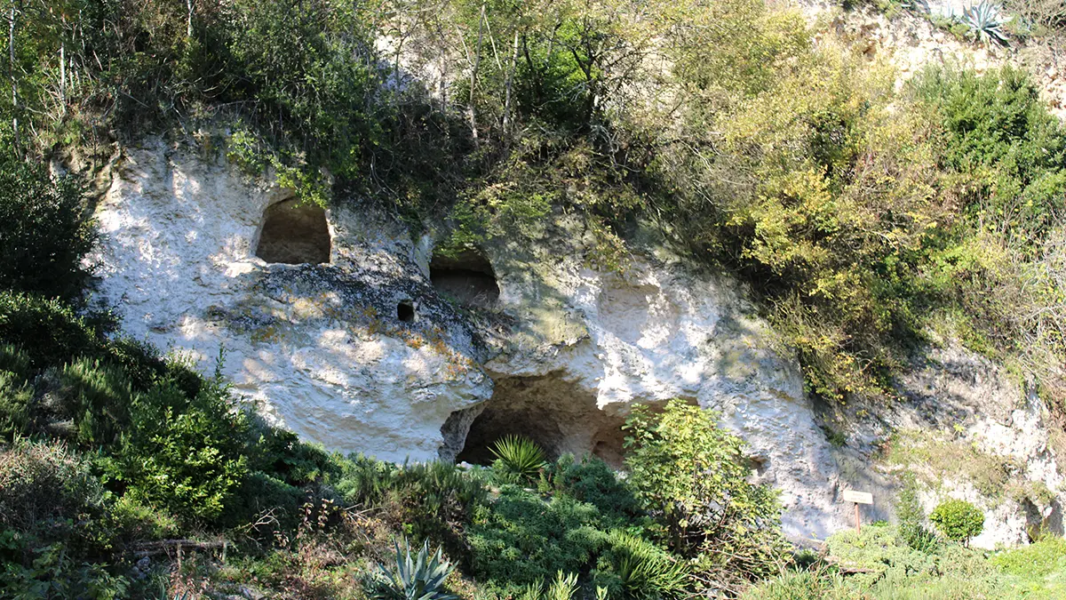 Roquecor, le Roc des Nobis