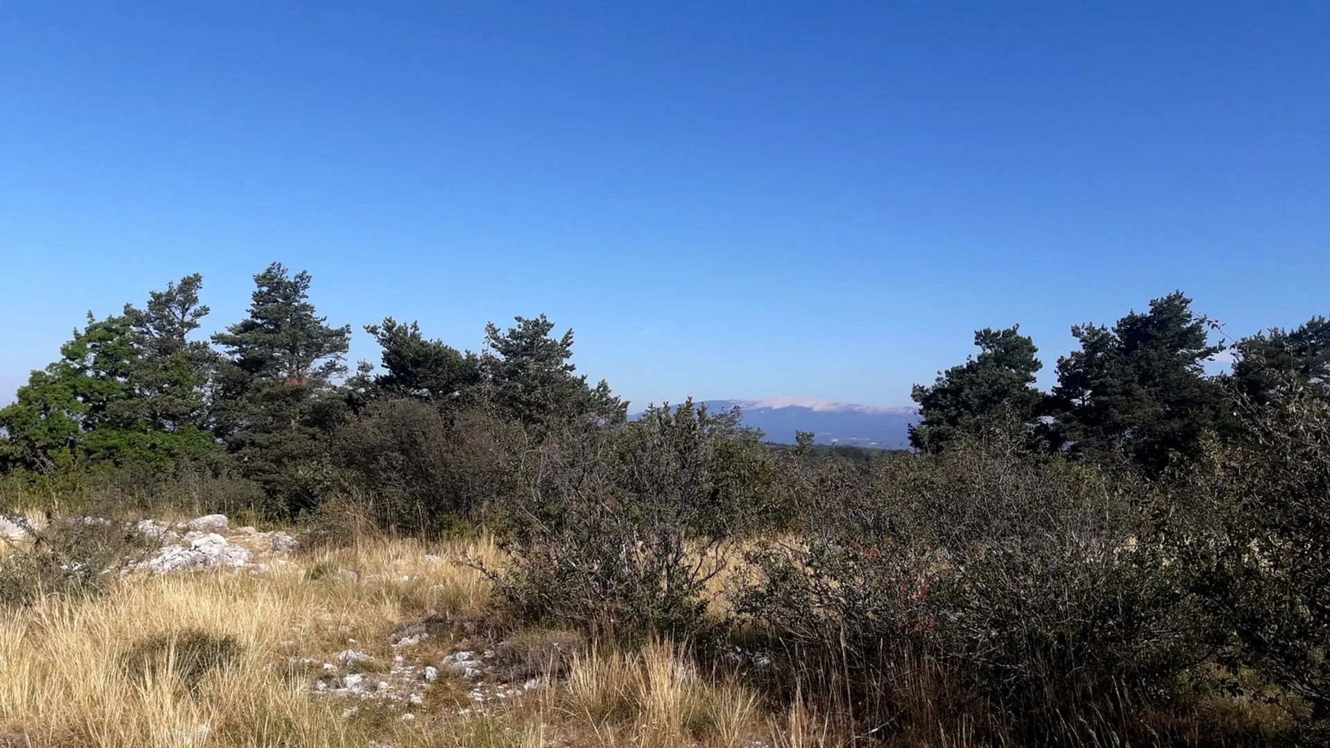 Vue sur le Ventoux depuis le Cluyer