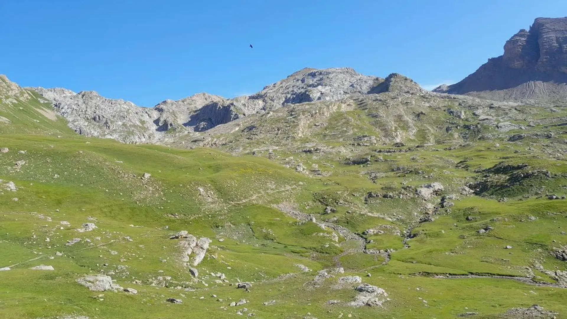 Remontée du vallon - vue sur le Roc Blanc