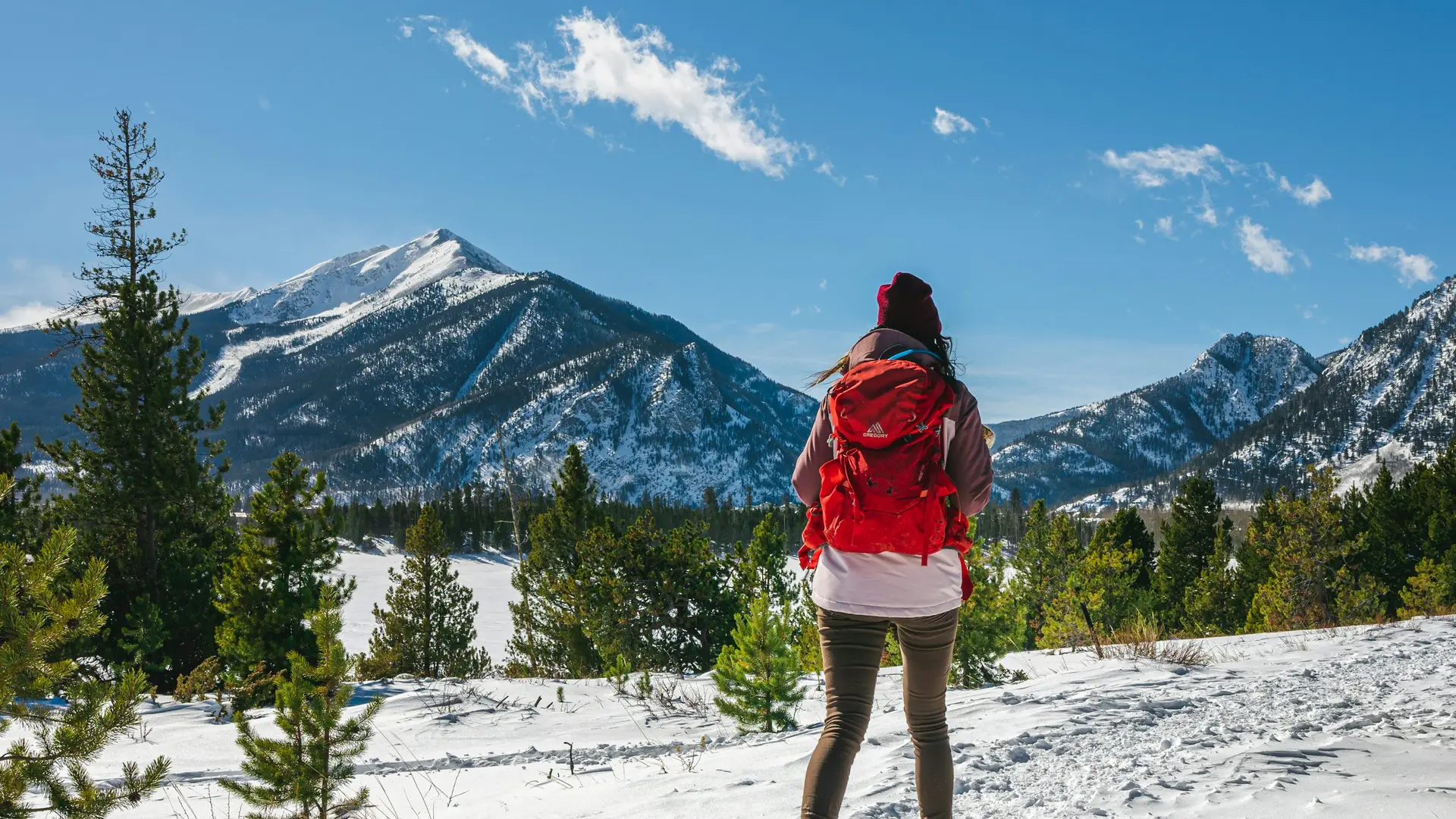 Vignette Train des neiges - Casterino
