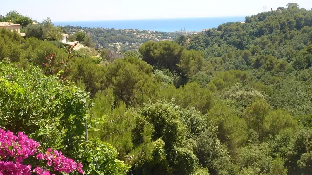 Vue Gîte l'Olivier de St Paul de Vence - Gîtes de France Alpes-Maritimes