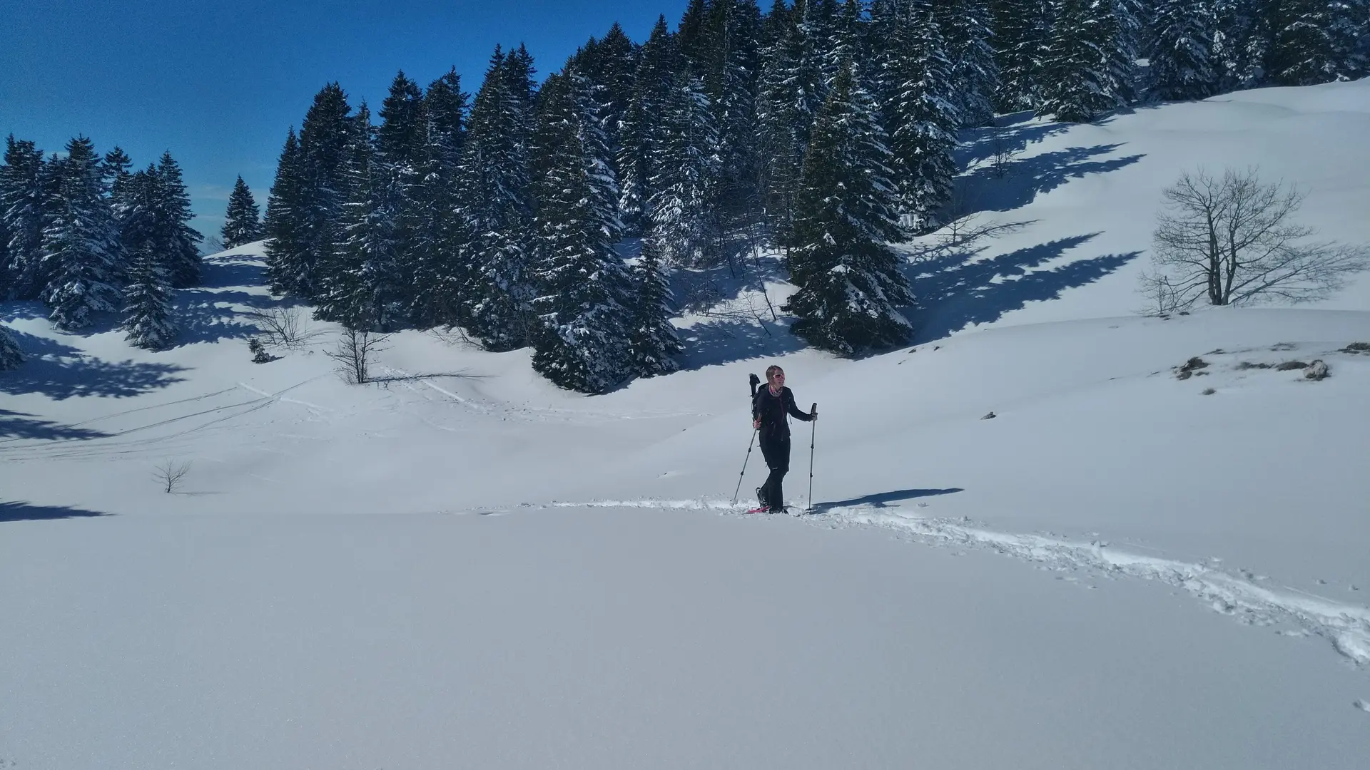 Raquette à neige dans le Haut-Bugey