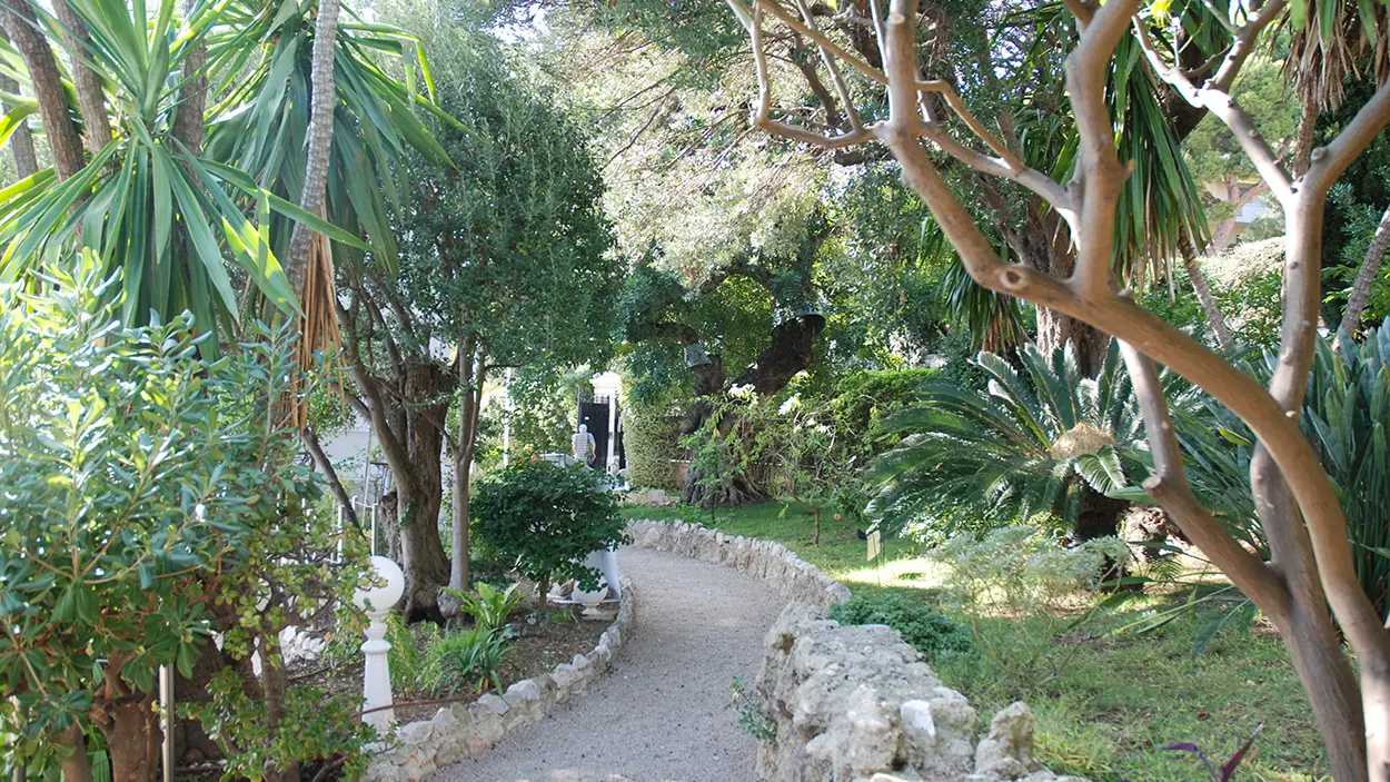 jardin Villa Les Camélias