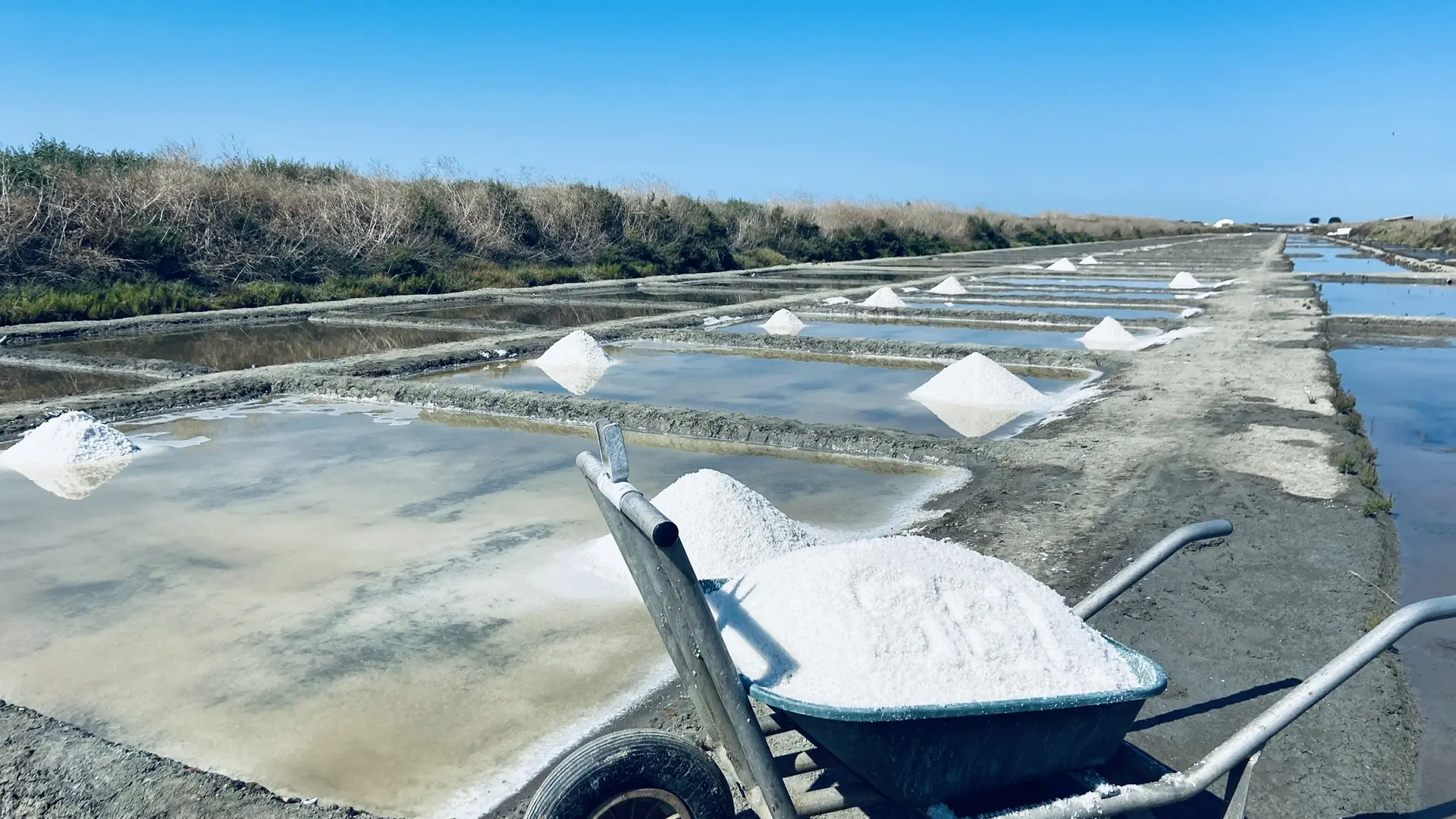 Visite des marais salants du Sel d'Isabelle