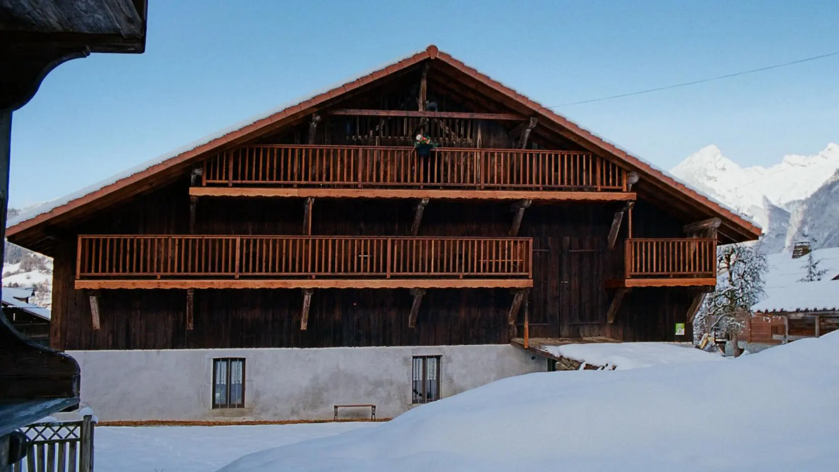 Perce-neige vue plein sud