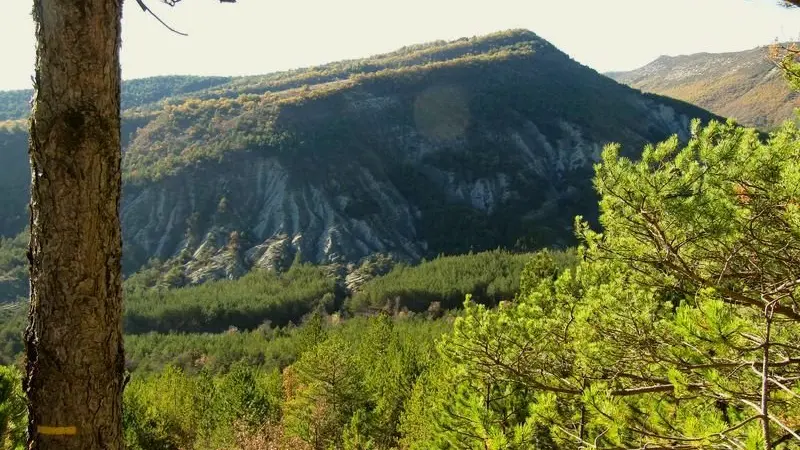 Autour de Salérans, la forêt domaniale de la Méouge