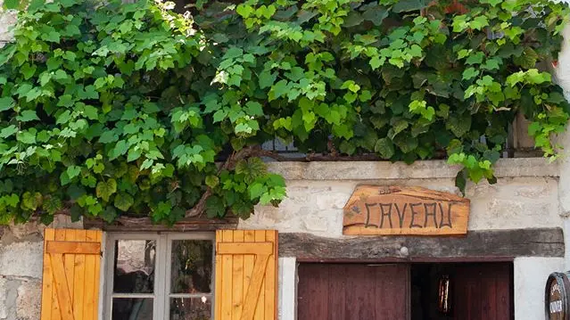 Nous vous accueillons au caveau à Cerdon