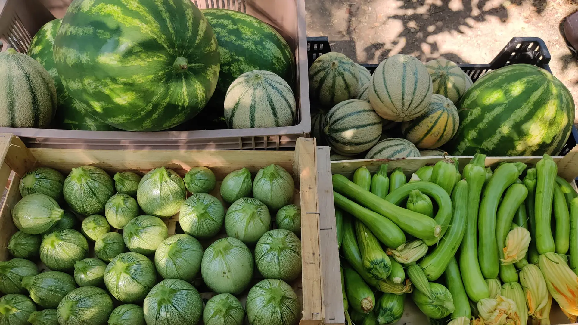 Felix Paysan_Callian